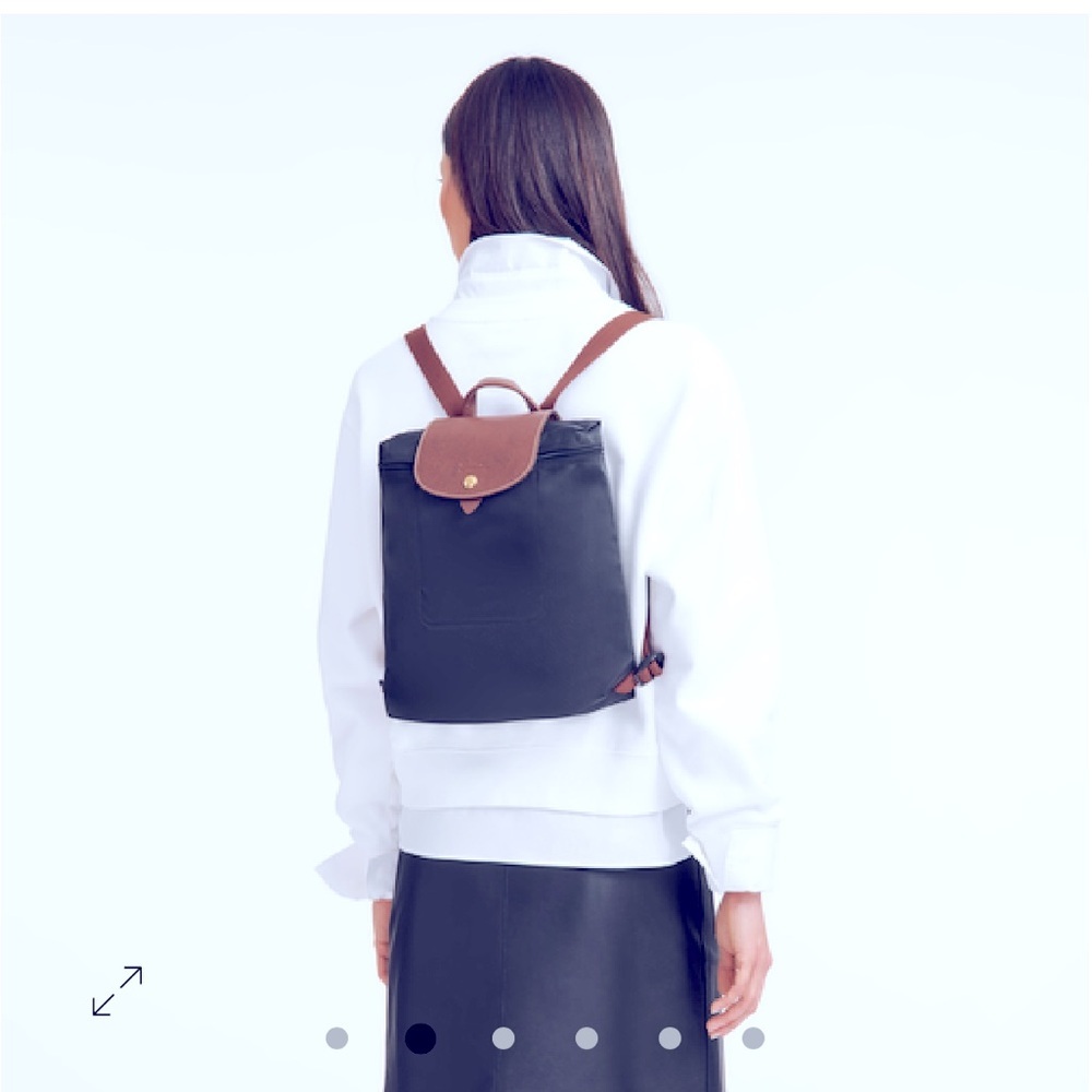 Longchamp Black and Brown Backpack